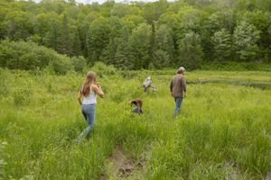 Two people and a dog walk through tall green grass near a forest.