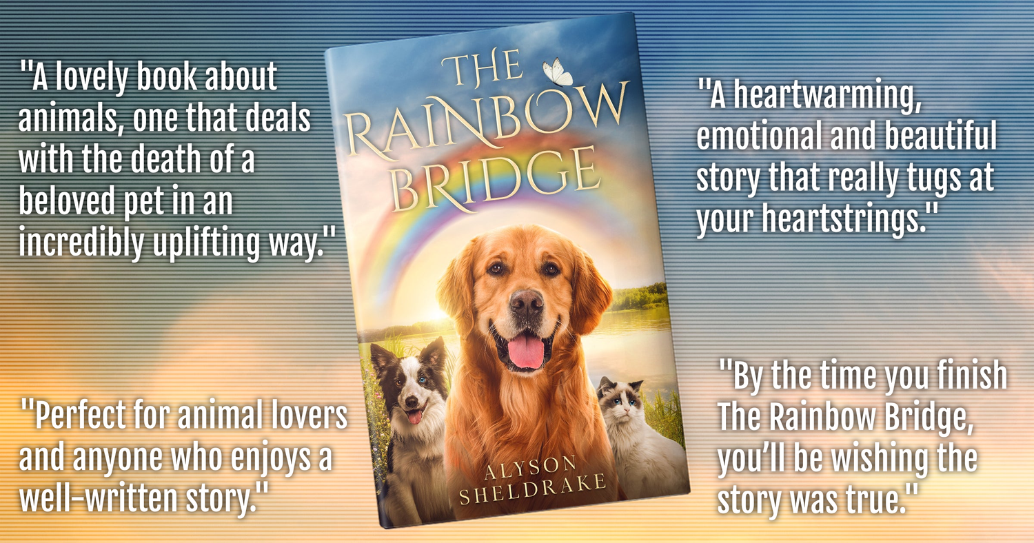 Book cover of The Rainbow Bridge by Alyson Sheldrake featuring golden retriever with heartwarming reader reviews.