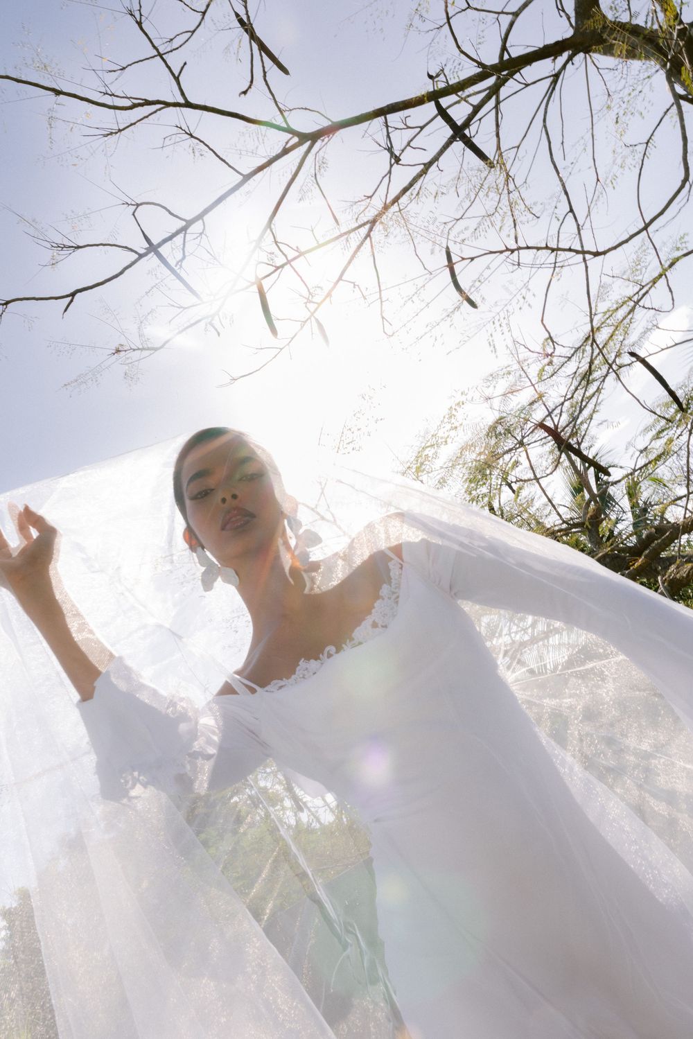 Bride in white lace gown holding a flowing veil overhead with sunlight and bare tree branches behind her.
