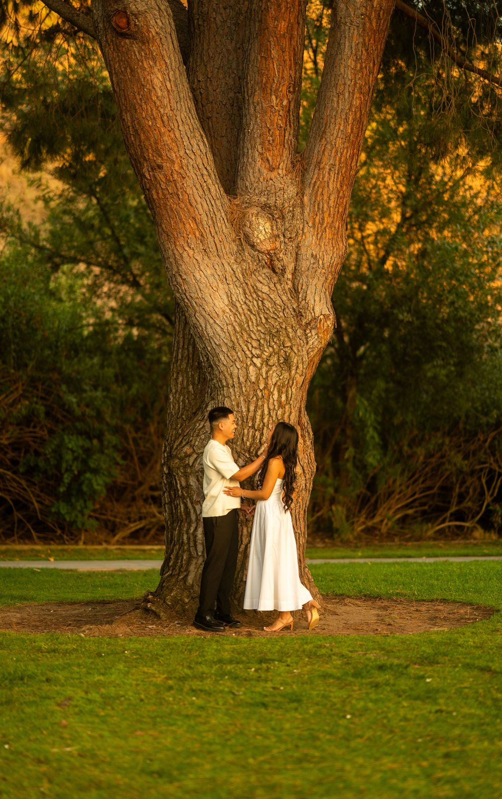 Romantic couple facing each other holding hands by a massive tree trunk during warm sunset lighting.