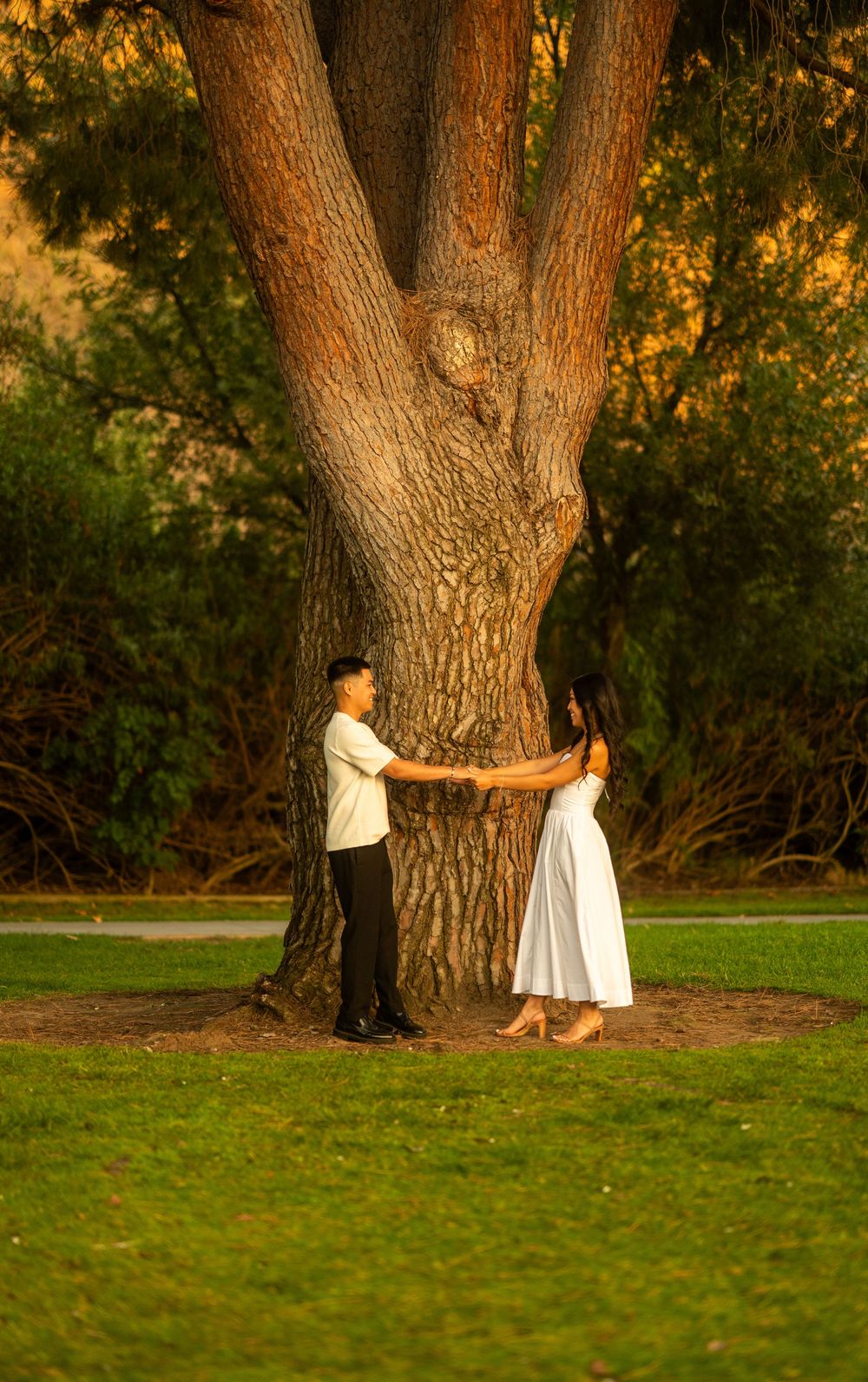 Couple holding hands around a massive tree trunk in a warmly lit park at sunset.