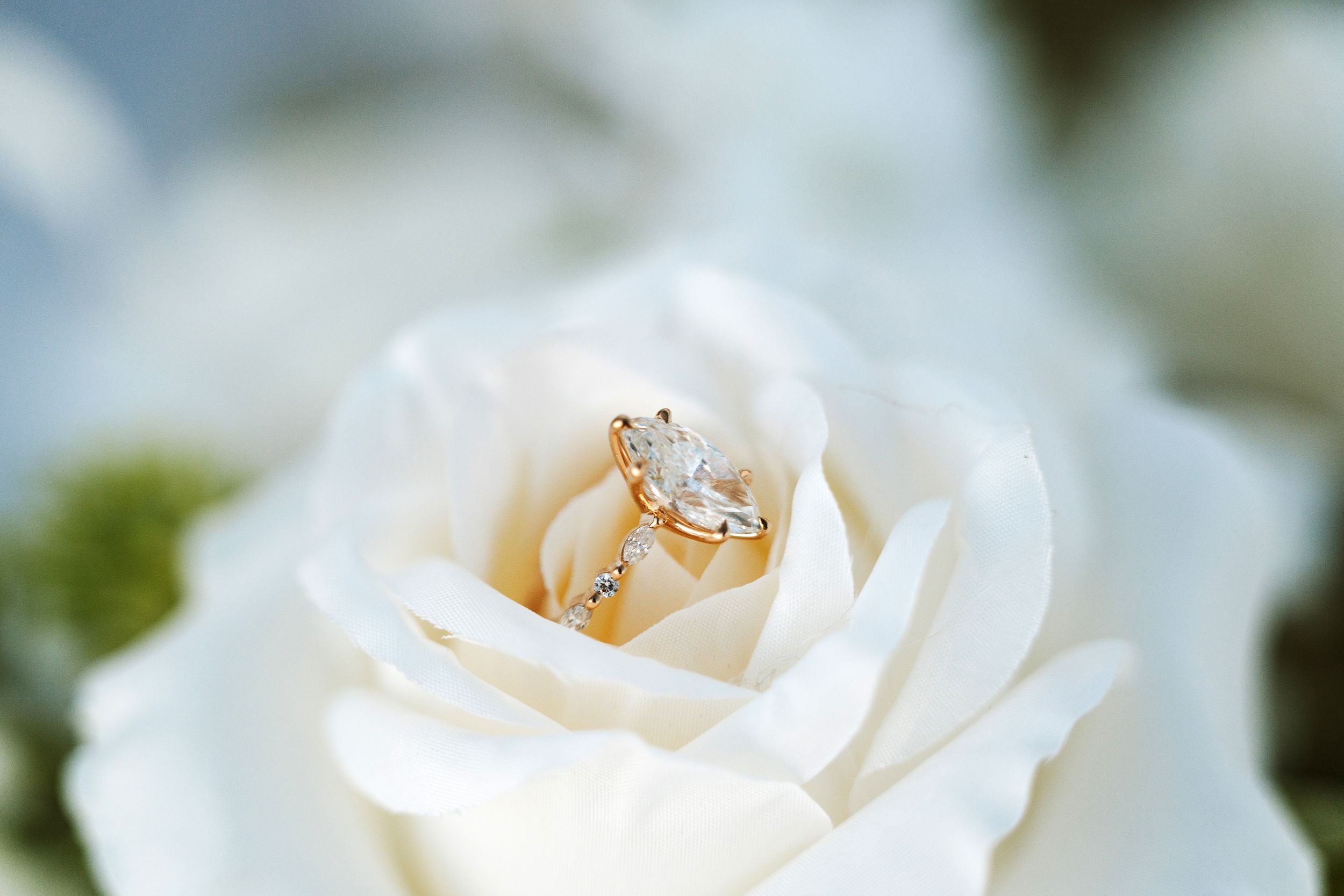 Gold diamond engagement ring nestled inside a white rose bloom for a romantic wedding detail photo.