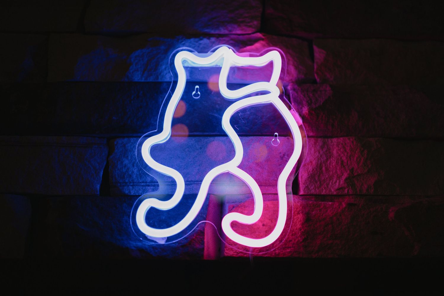 Neon cat sign glowing in blue and pink light mounted on dark brick wall.