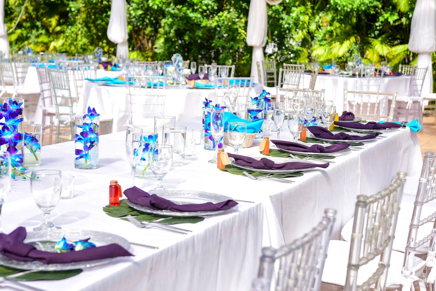 Blue Lens Media | Ottawa Wedding & Event