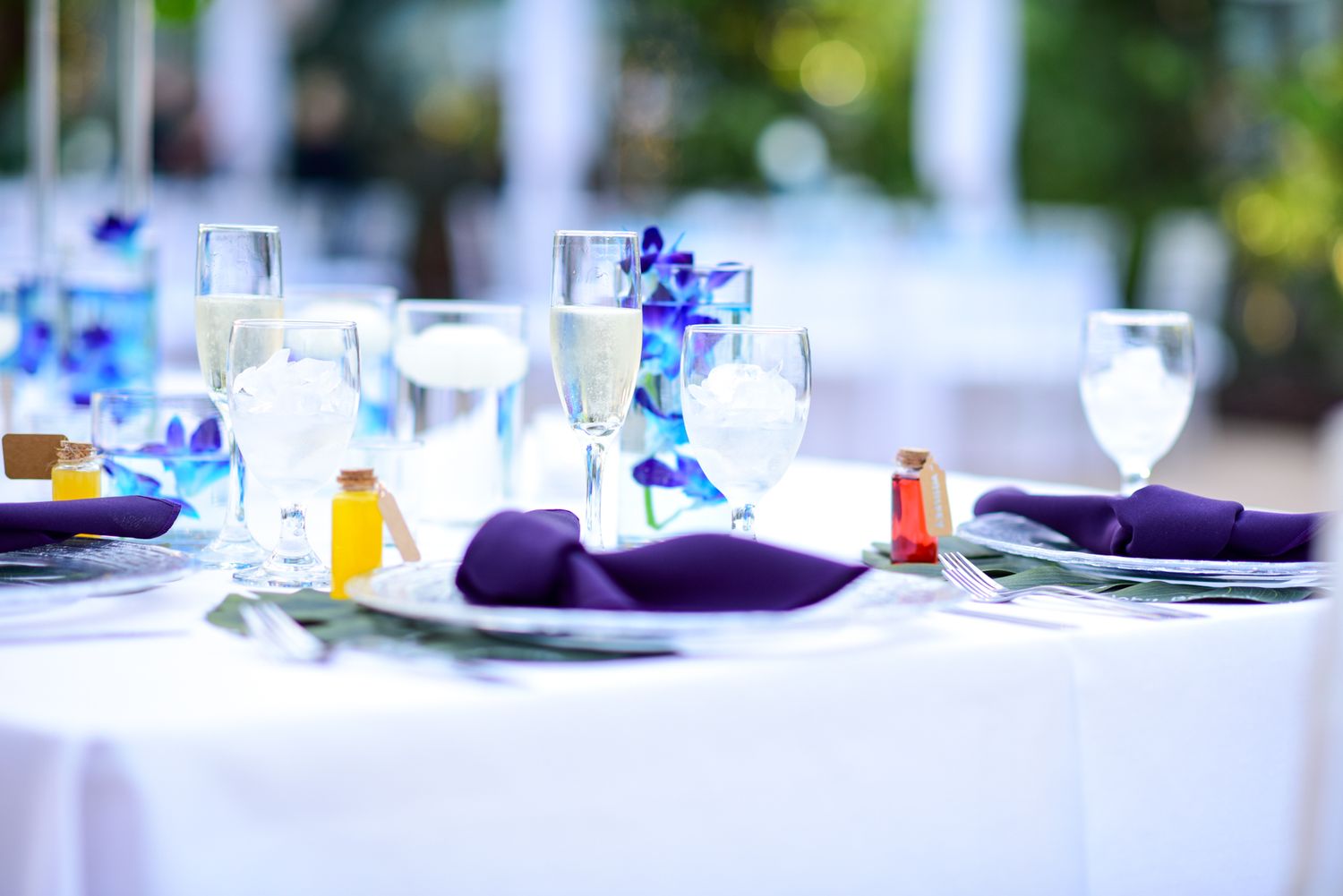 Blue Lens Media | Ottawa Wedding & Event