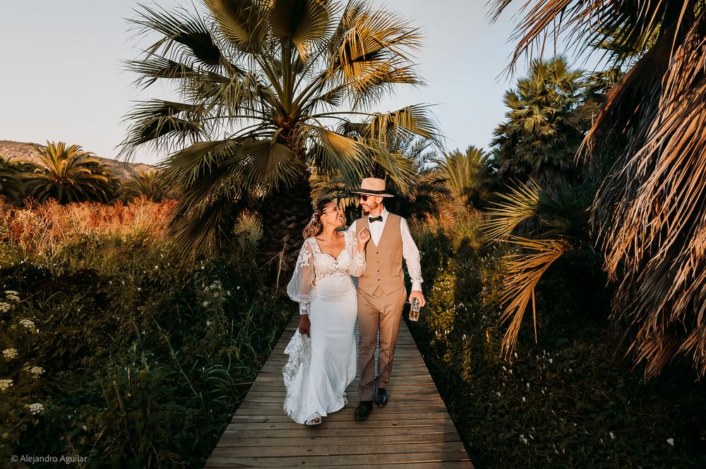 Bride and groom walk hand-in-hand on a wooden boardwalk surrounded by palm trees at golden hour.