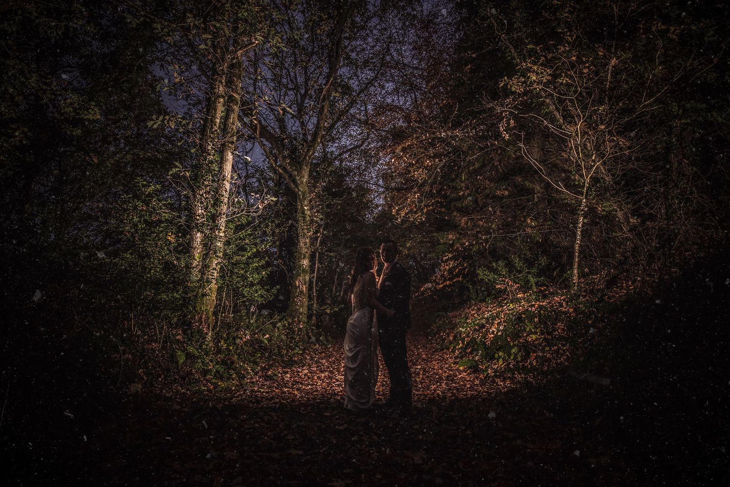 Couple embracing romantically in a dark enchanted forest at night, surrounded by trees and fallen leaves at Cabra Castle, Co. Cavan