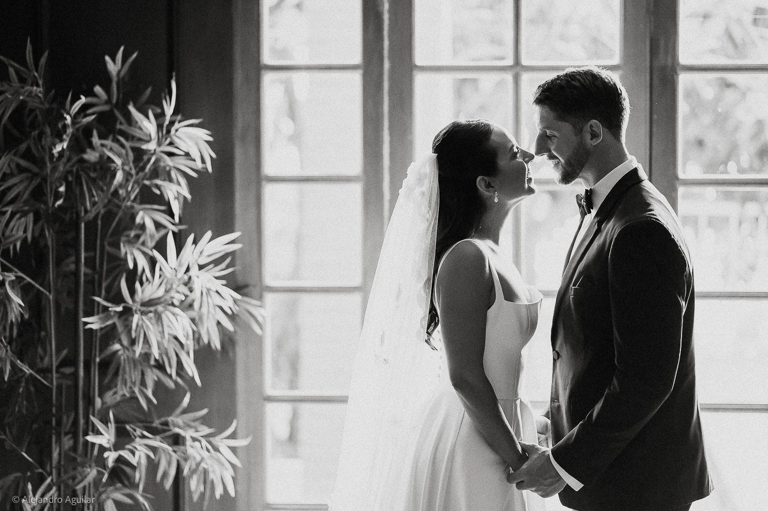 Black and white wedding photo of bride and groom sharing an intimate moment near large windows with greenery.