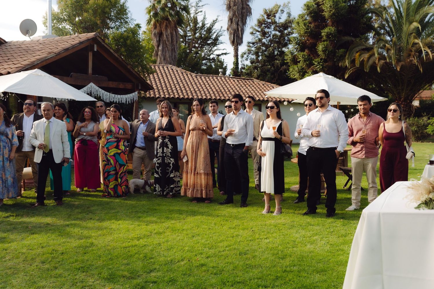Large group of wedding guests in formal attire gathered on green lawn during outdoor garden reception.