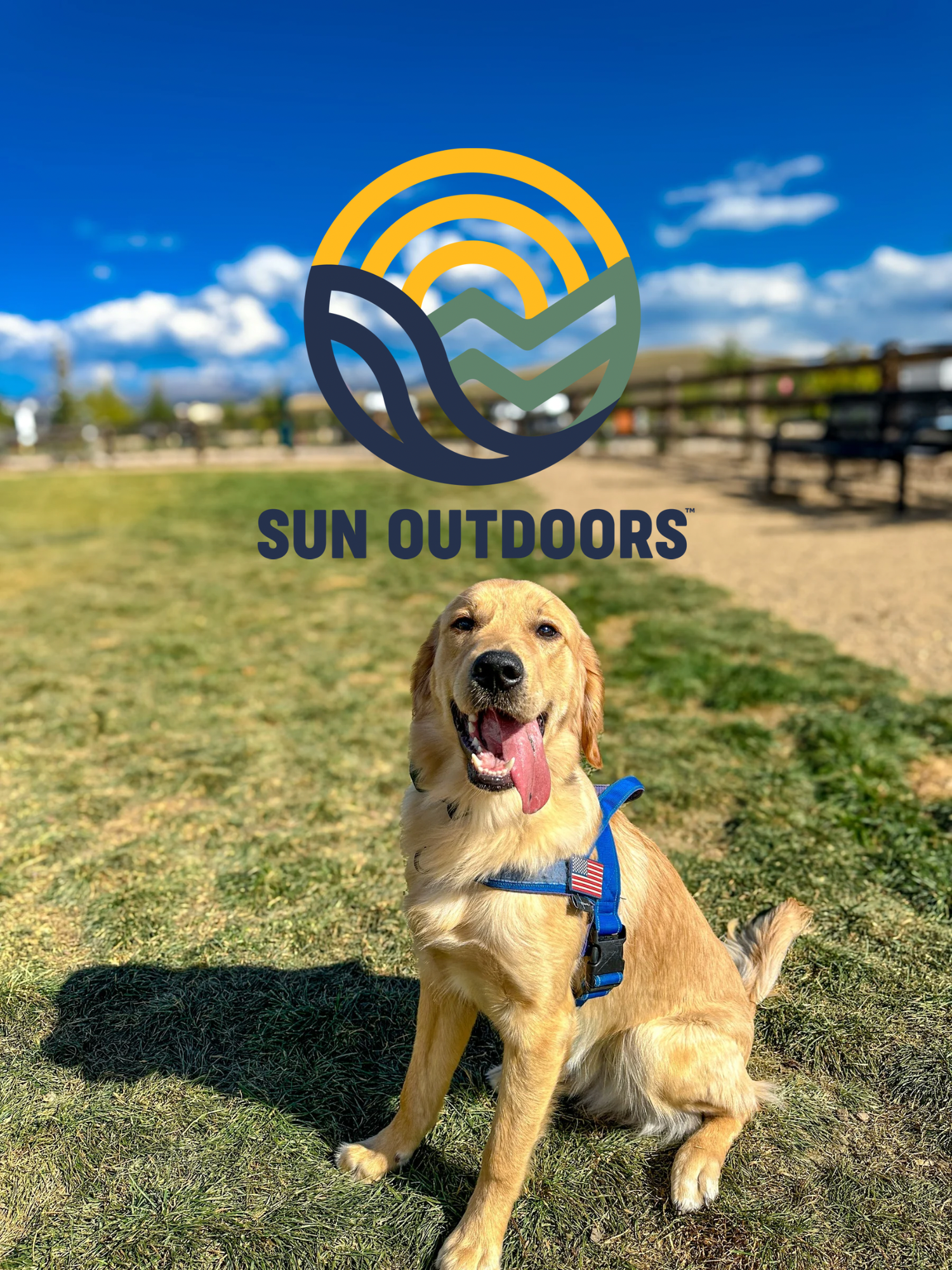 Happy golden retriever sitting in sunny park wearing blue harness with Sun Outdoors logo overlay.