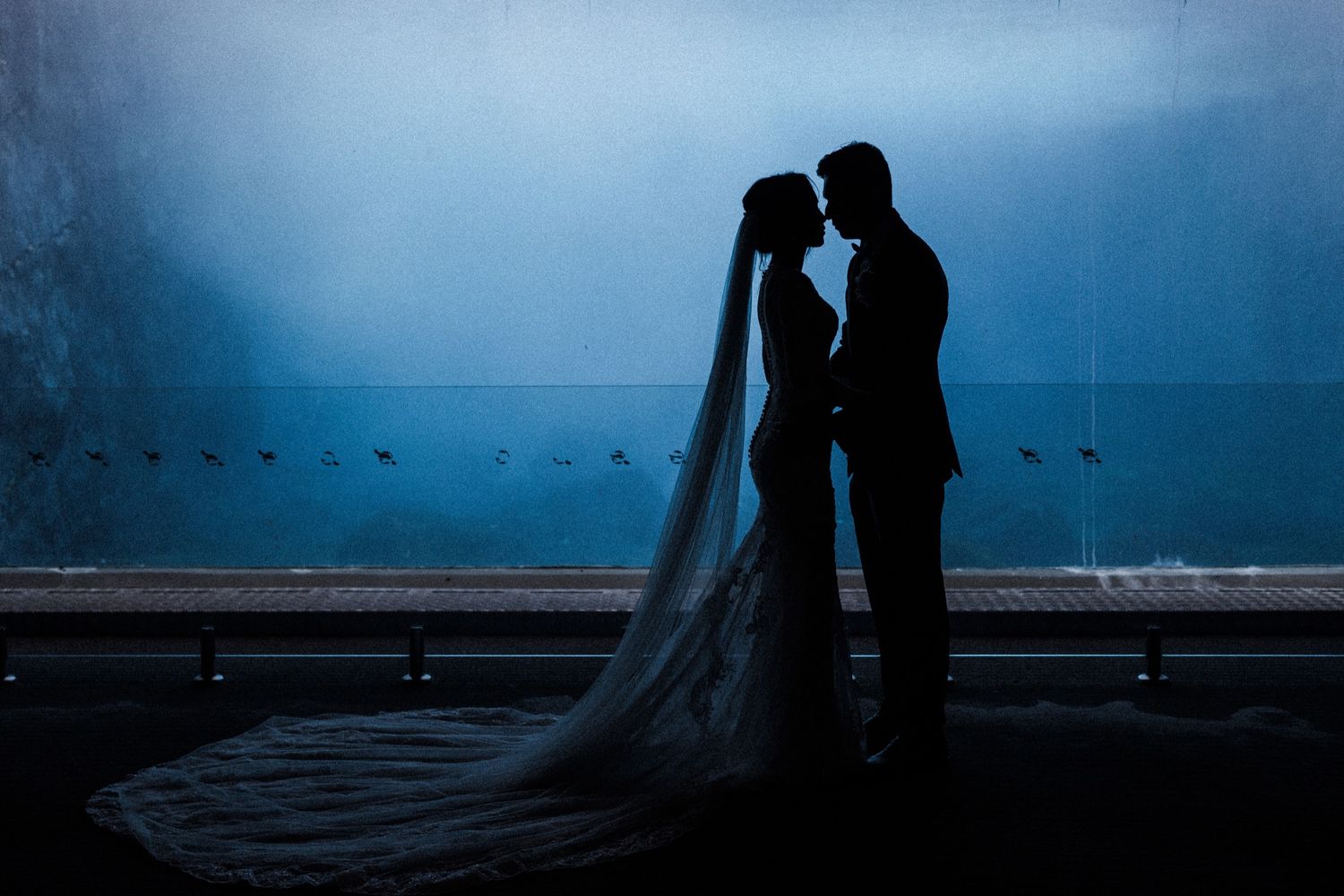 Silhouette of bride and groom facing each other with long veil against blue aquarium backdrop.