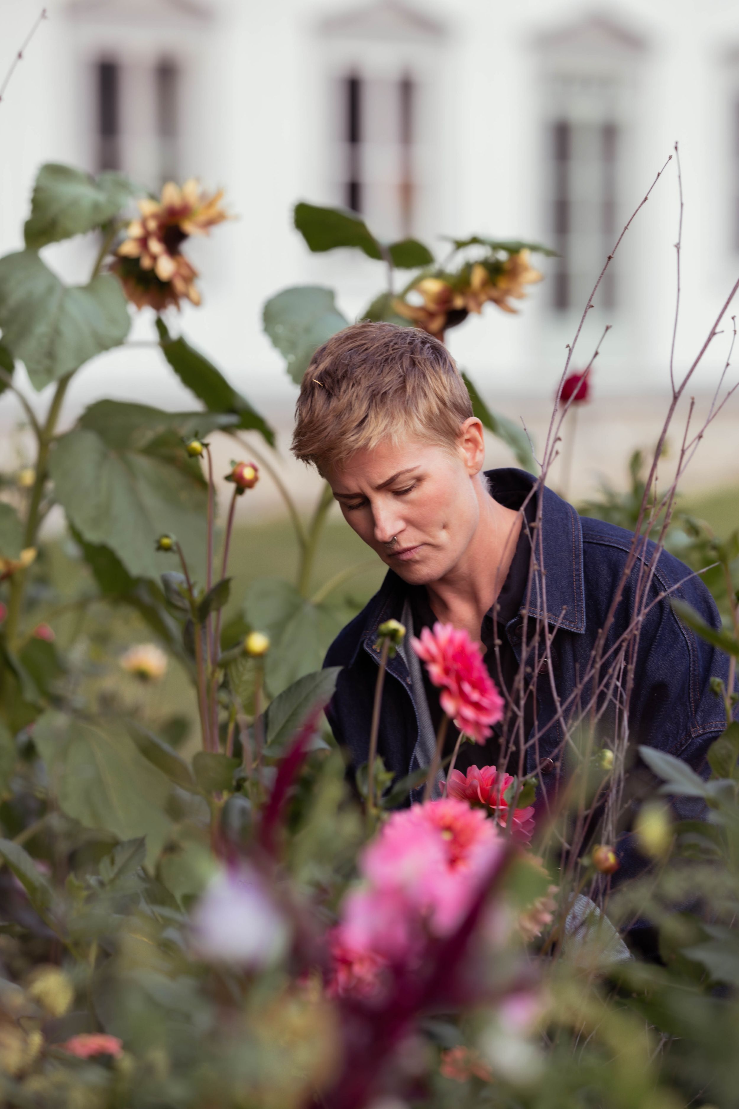 Företag