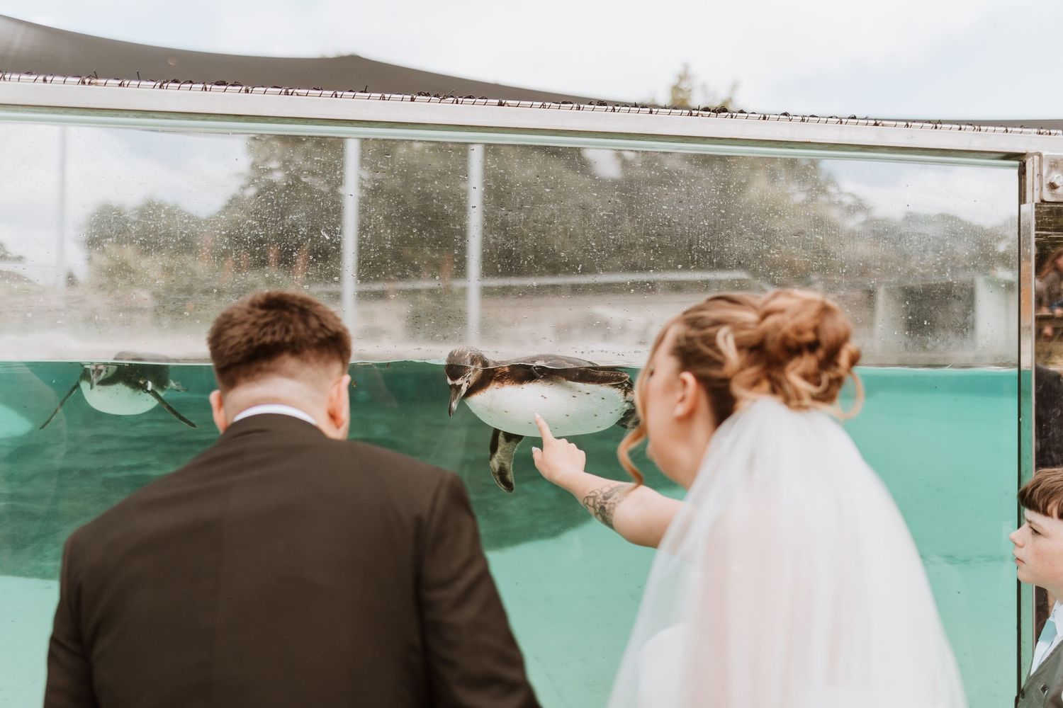 Bride and groom viewing an aquarium exhibit together on their wedding day, bride wearing veil.