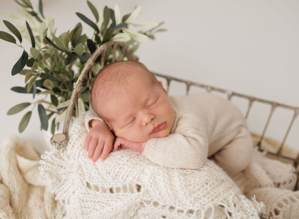 Peaceful newborn baby sleeping in a wicker basket with a cream knit blanket and green eucalyptus leaves.