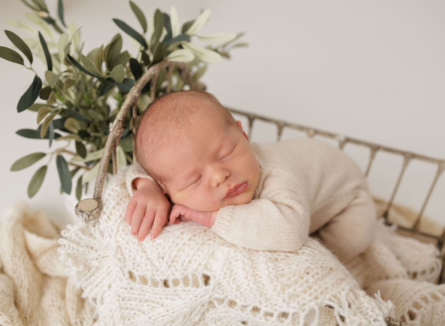 Peaceful newborn baby sleeping in a wicker basket with a cream knit blanket and green eucalyptus leaves.