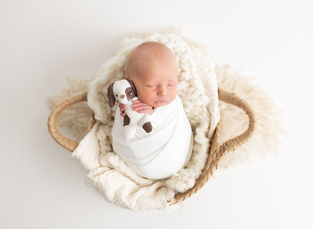 Newborn baby swaddled in white wrap sleeping in a wicker basket with a stuffed puppy toy on a white background.
