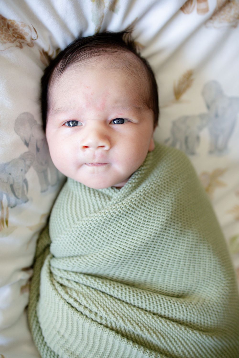 Baby boy swaddled during a newborn lifestyle session in Oak Ridge, TN with Nina Thomas Photography.
