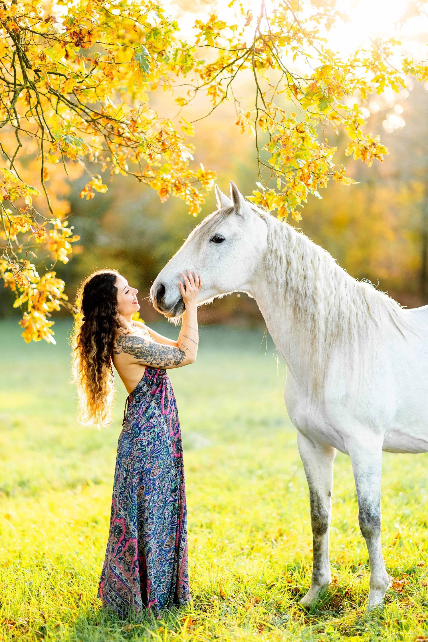 Une propriétaire et son cheval sont proches et complices