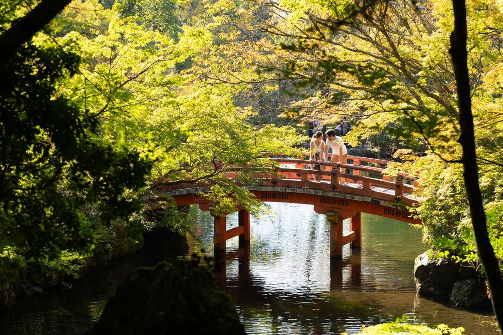 People stand on a red wooden arched bridge over a calm reflective pond surrounded by lush green trees in a peaceful Japanese garden.