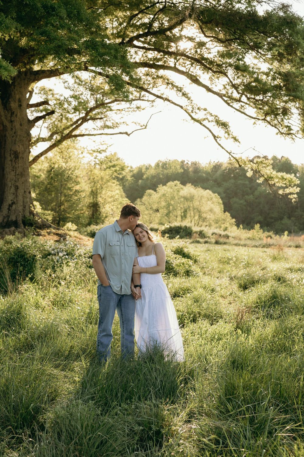 Couple embracing in a sunlit meadow under a large oak tree, surrounded by lush green grass and trees.