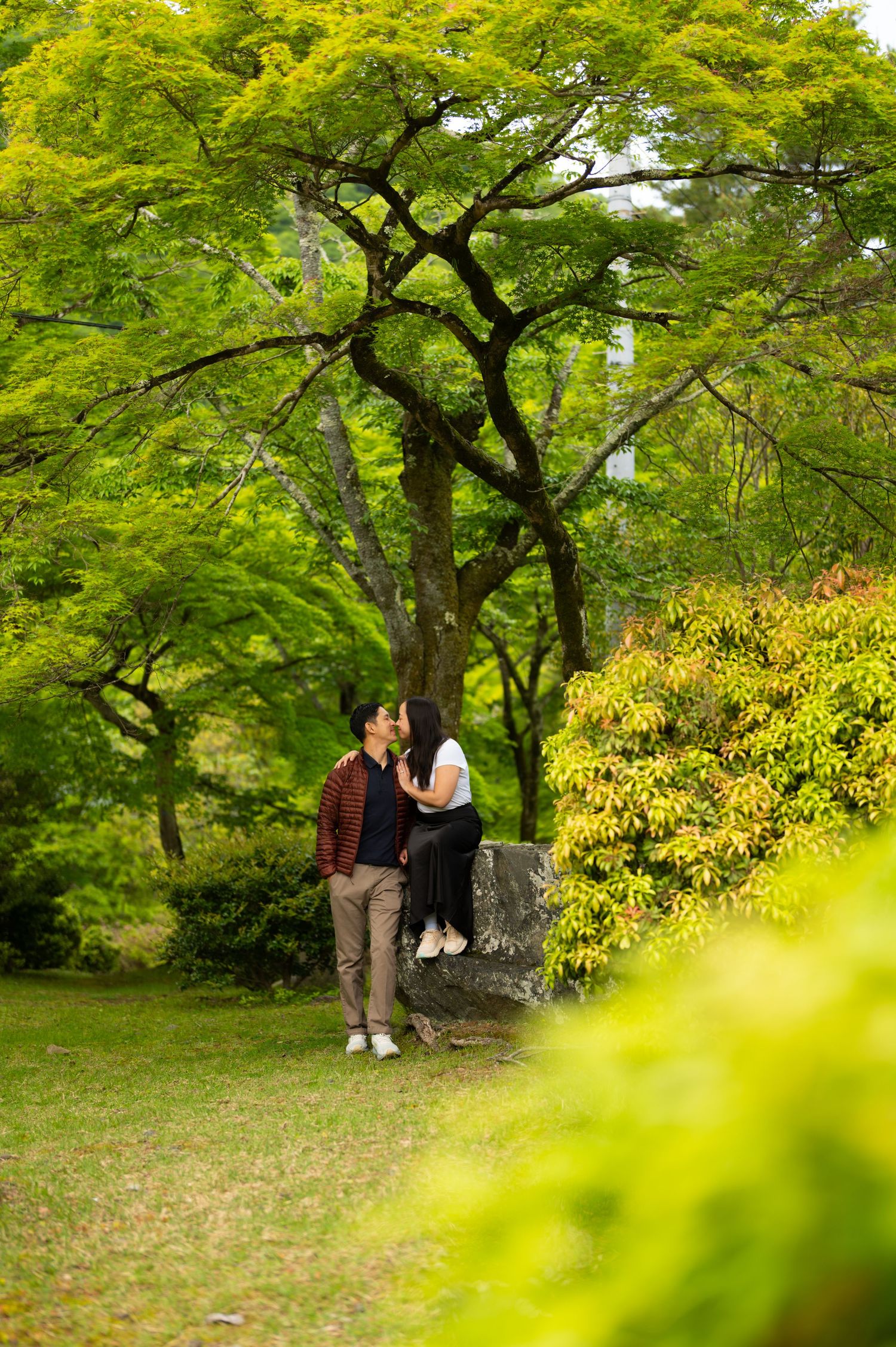Couple kissing while sitting on a large rock beneath a lush green maple tree in a peaceful garden, perfect for engagement photos.