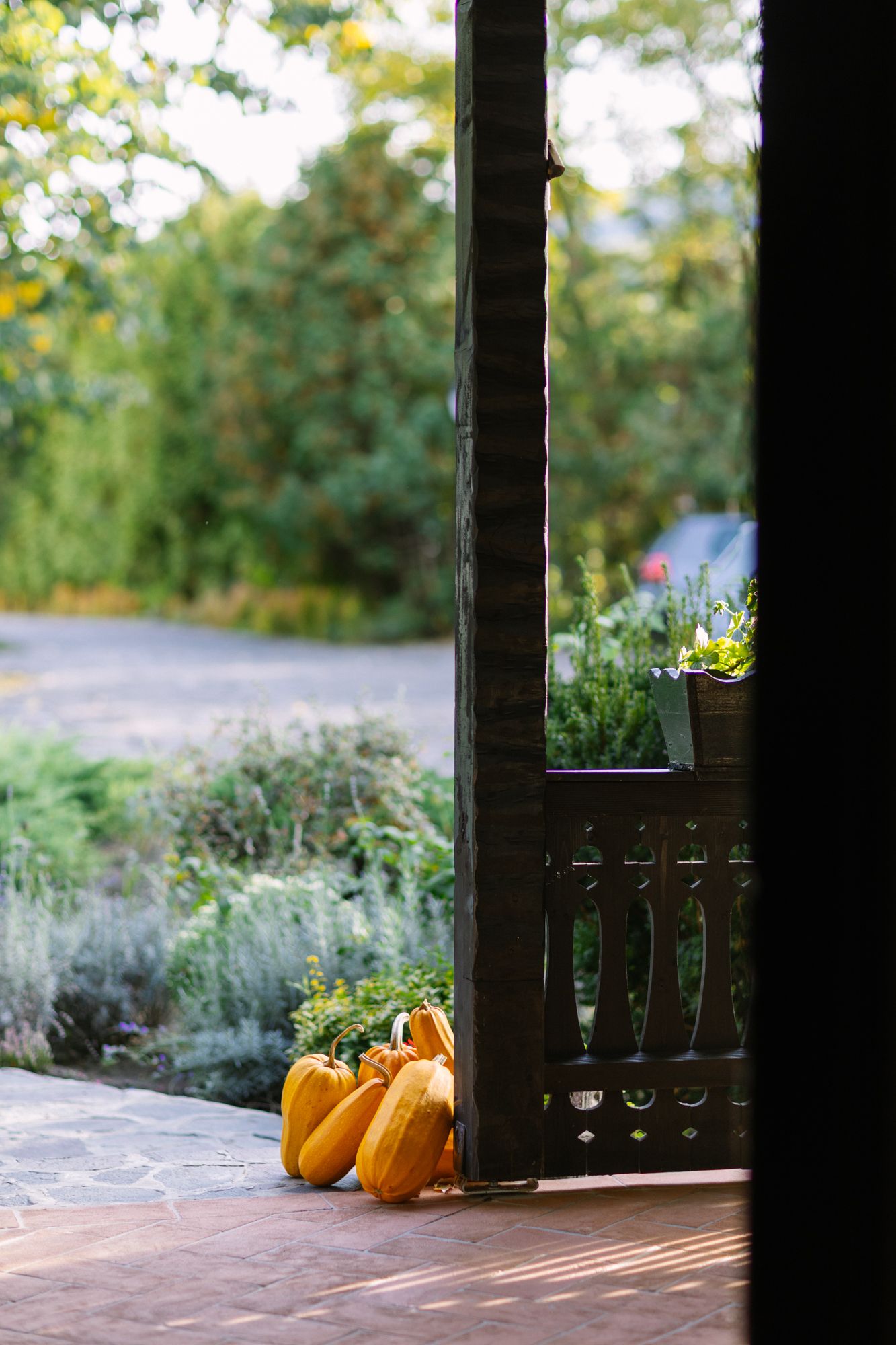 Autumn porch with orange pumpkins beside dark wooden railing, surrounded by lush green garden in warm fall sunlight.