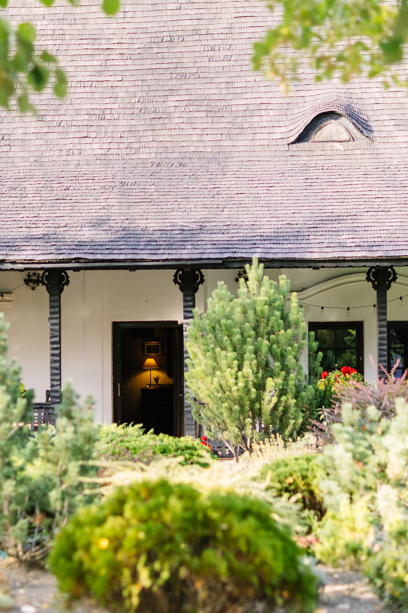 Charming white cottage with dark trim, lush garden, evergreen shrub, and warm lamp glowing inside open door.