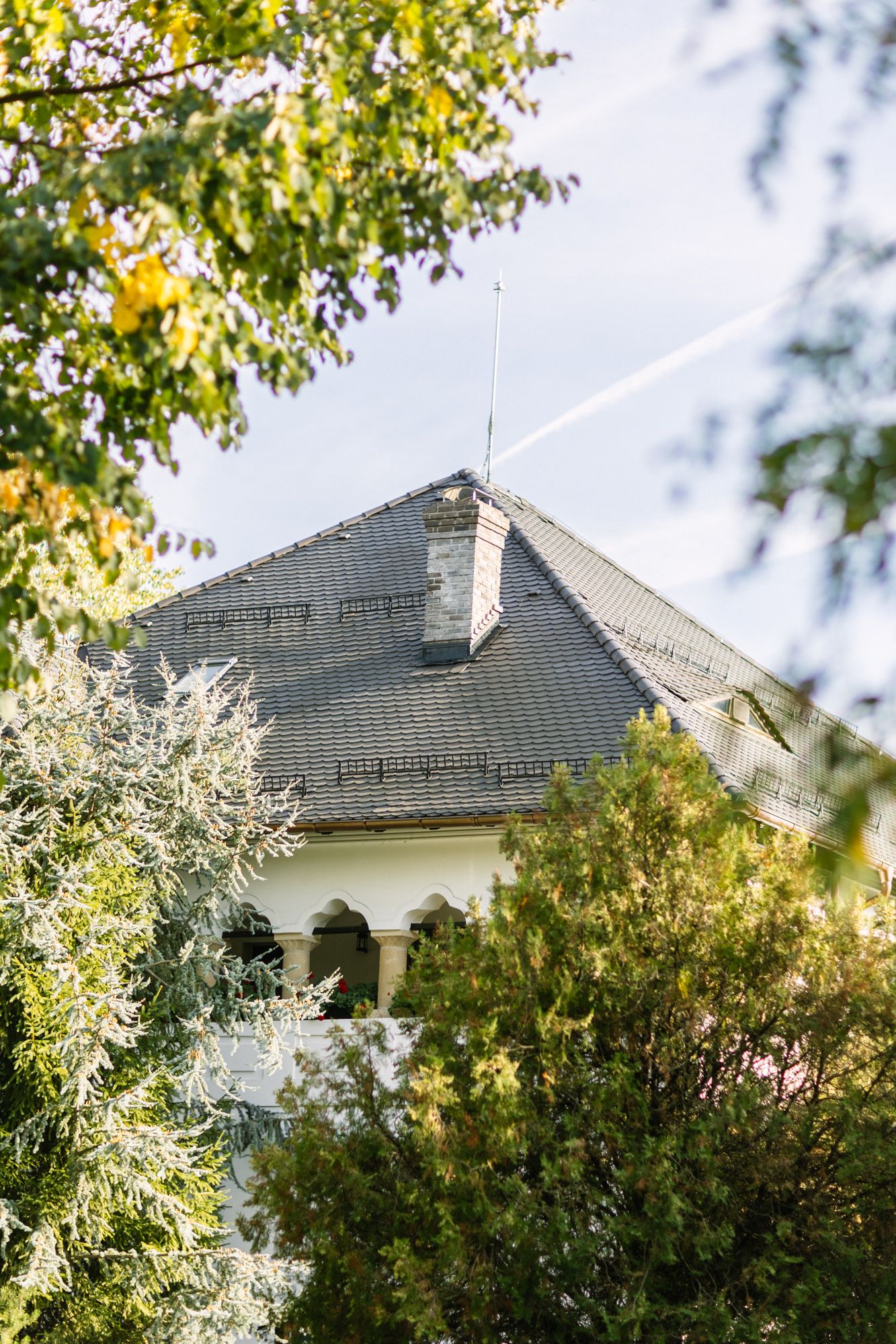 Historic villa roof with dark slate tiles peeking through lush green trees under a clear blue sky.