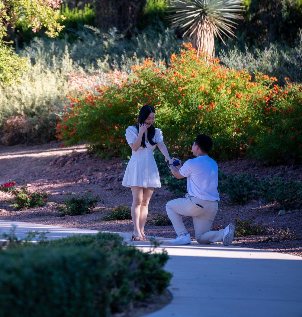A man kneels on one knee proposing to a woman in a white dress on a garden path surrounded by orange flowering shrubs.