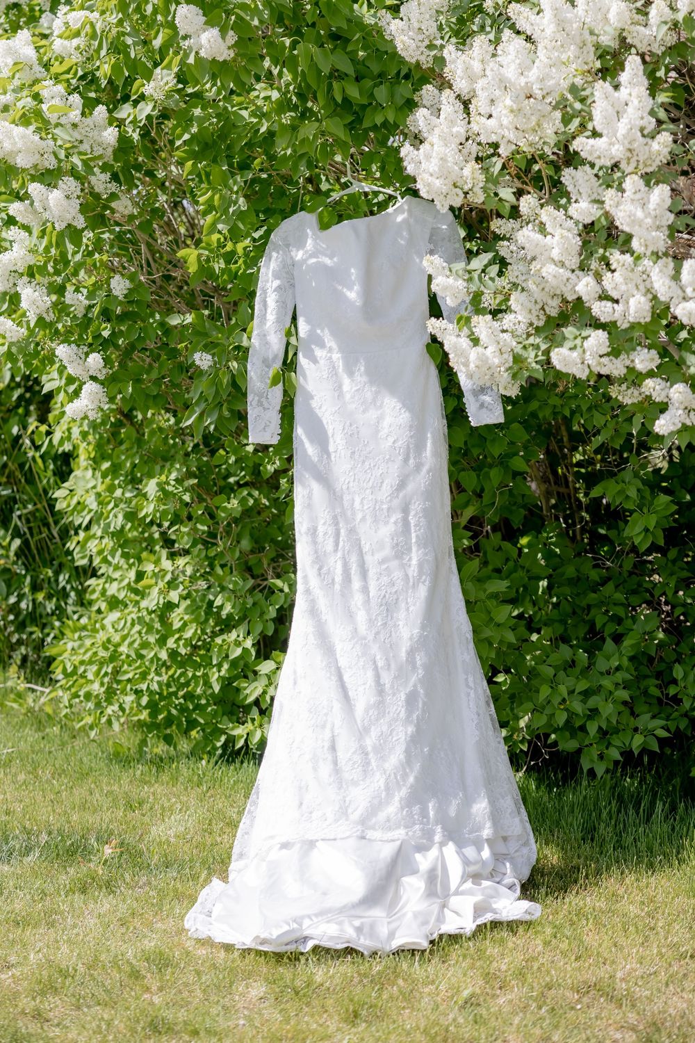 White lace long-sleeve wedding dress hanging outdoors in front of blooming white lilac bushes on a sunny grassy lawn.