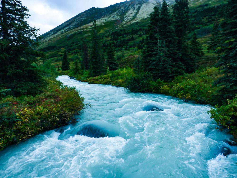 Turquoise glacial river rushing through a green mountain valley lined with evergreen trees and colorful shrubs.