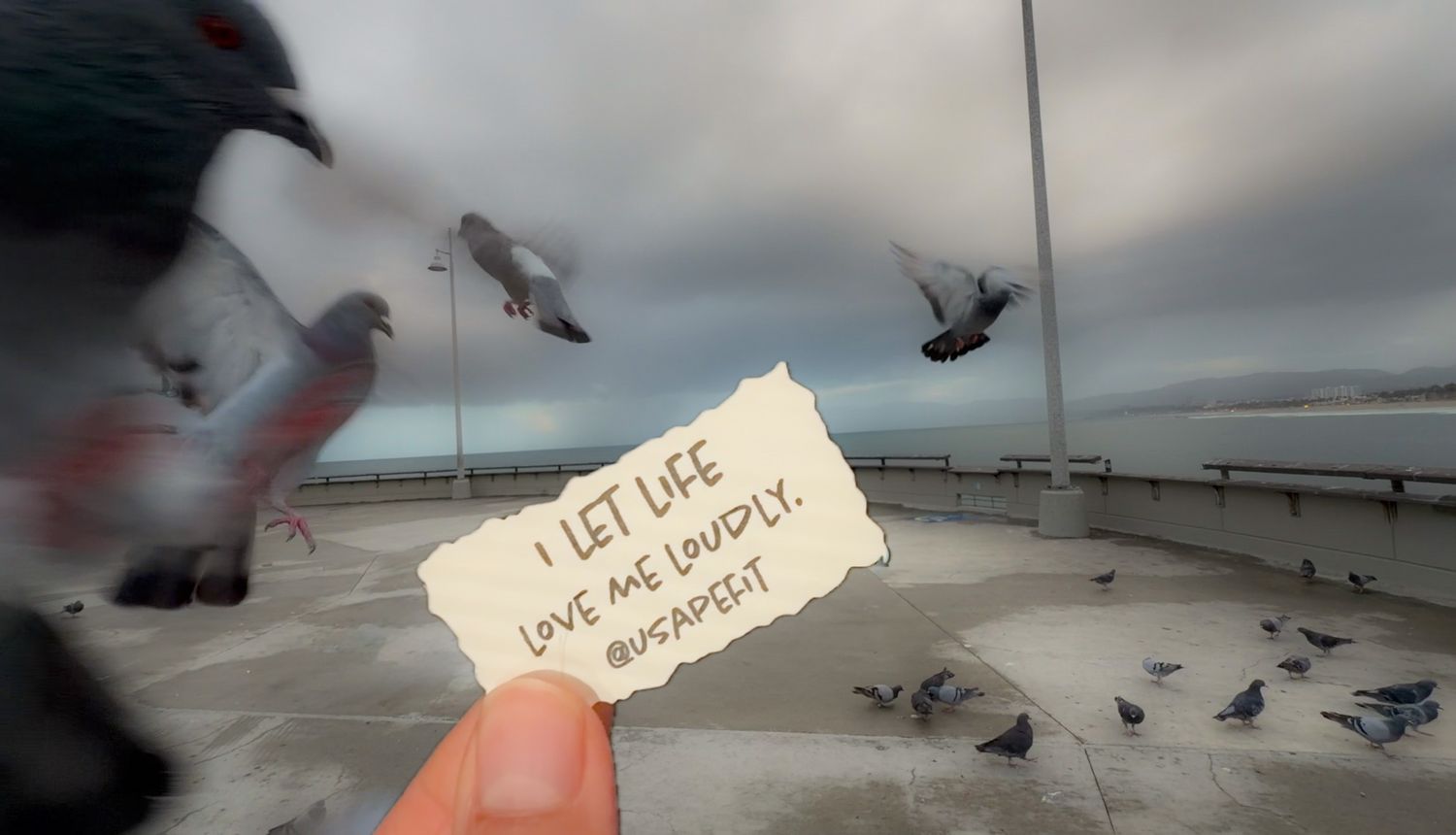 Hand holding a note saying I Let Life Love Me Loudly with pigeons flying over Budapest waterfront on cloudy day.