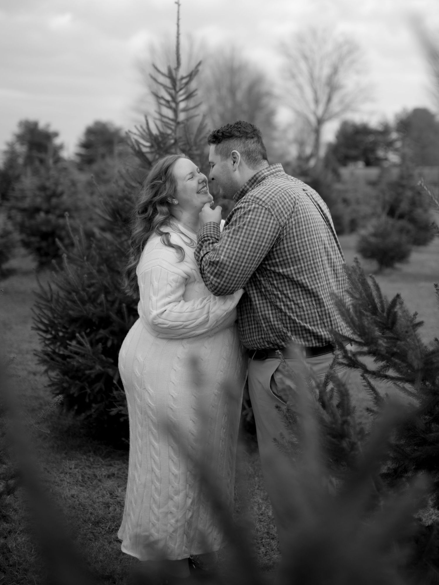Black and white maternity portrait of a laughing pregnant woman in a knit dress embracing her partner at a Christmas tree farm.