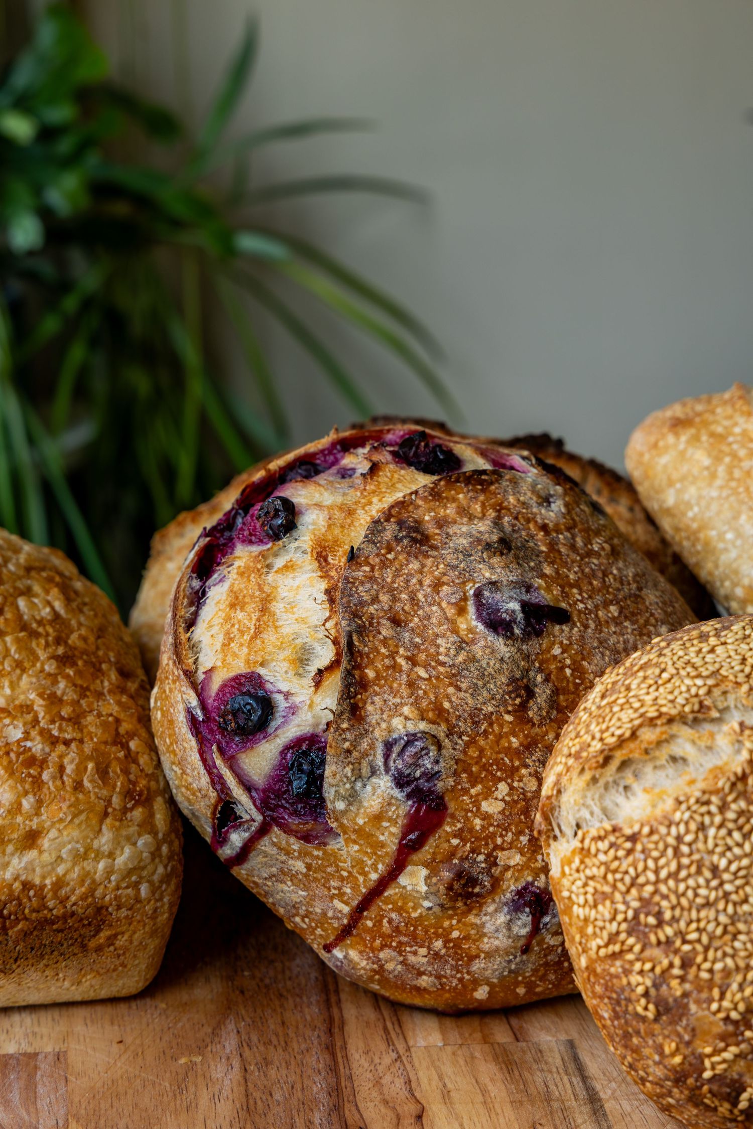 Artisan sourdough bread loaf with blueberries surrounded by sesame and rustic breads on a wooden board.