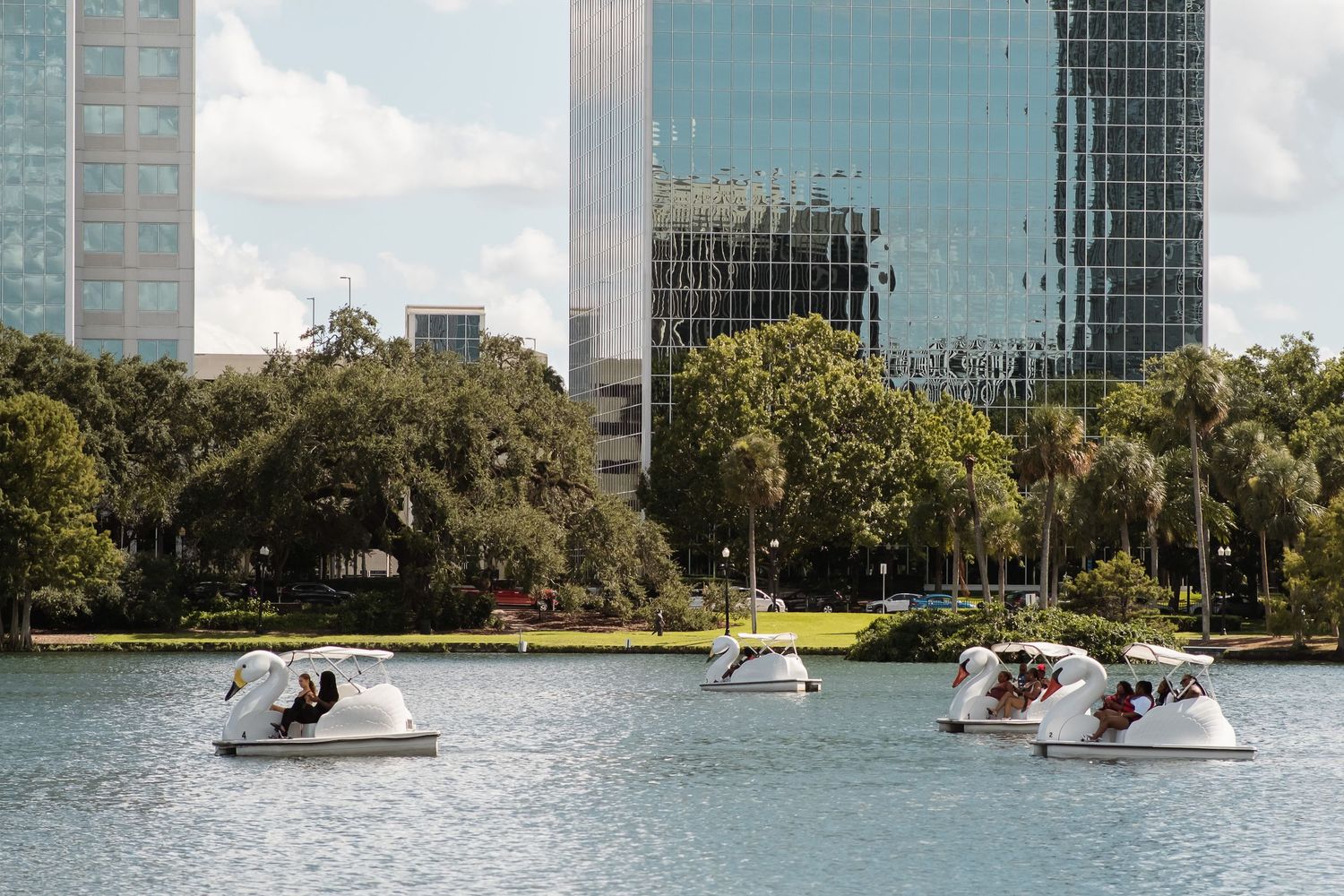 Swan paddle boats glide across a serene urban lake with lush trees and modern skyscrapers in the background.
