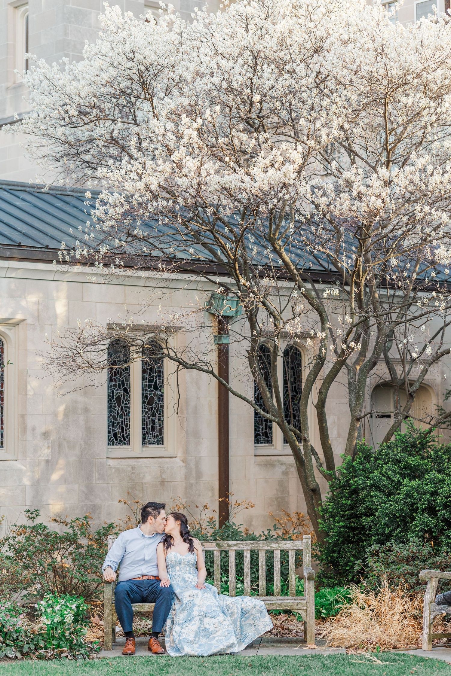 Couple sharing a romantic kiss on a bench under a blooming white magnolia tree beside a stone church in spring.