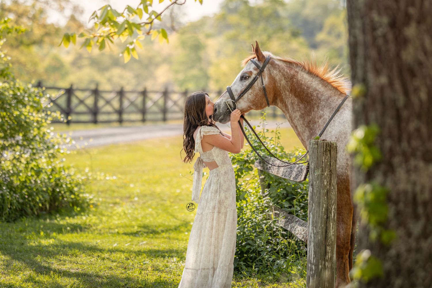 A woman in a white dress tenderly kisses a chestnut horse in a lush green pastoral setting.