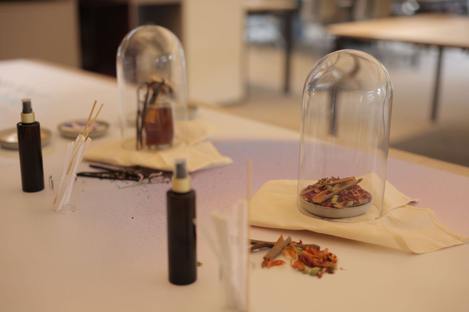 Glass bell jars displayed on a white table with decorative items and a black spray bottle in a modern setting.