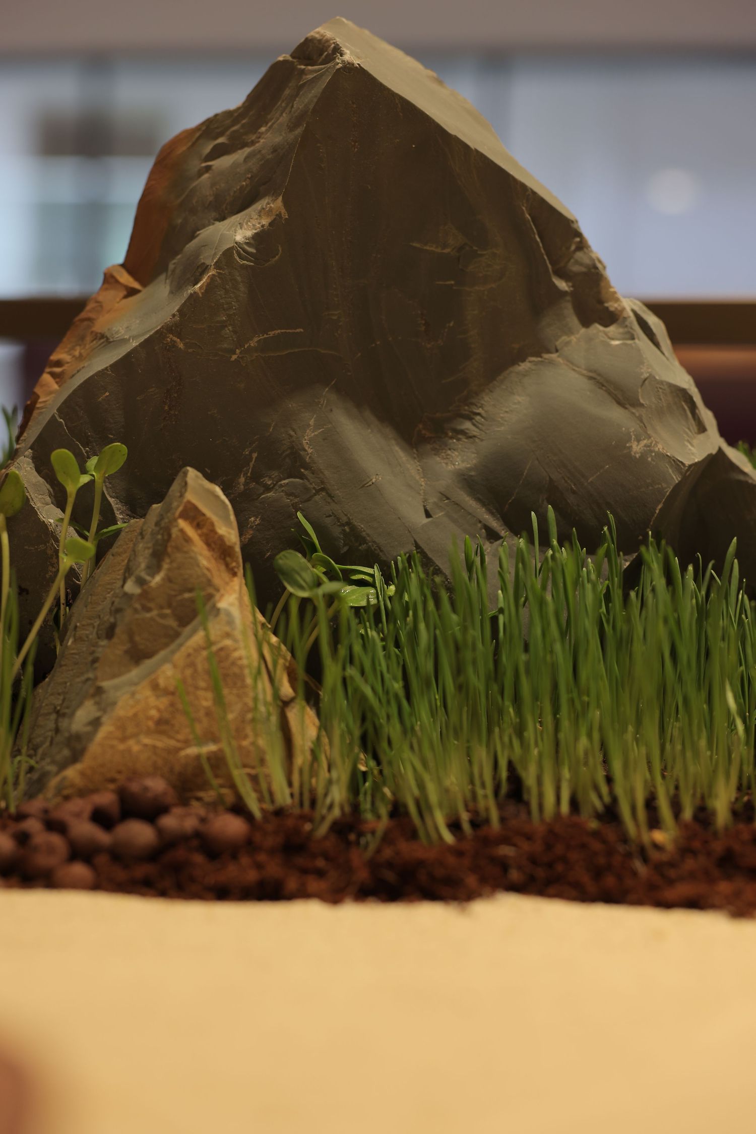 Close-up of a miniature landscape display featuring dark slate rocks, green grass shoots, and rich brown soil.