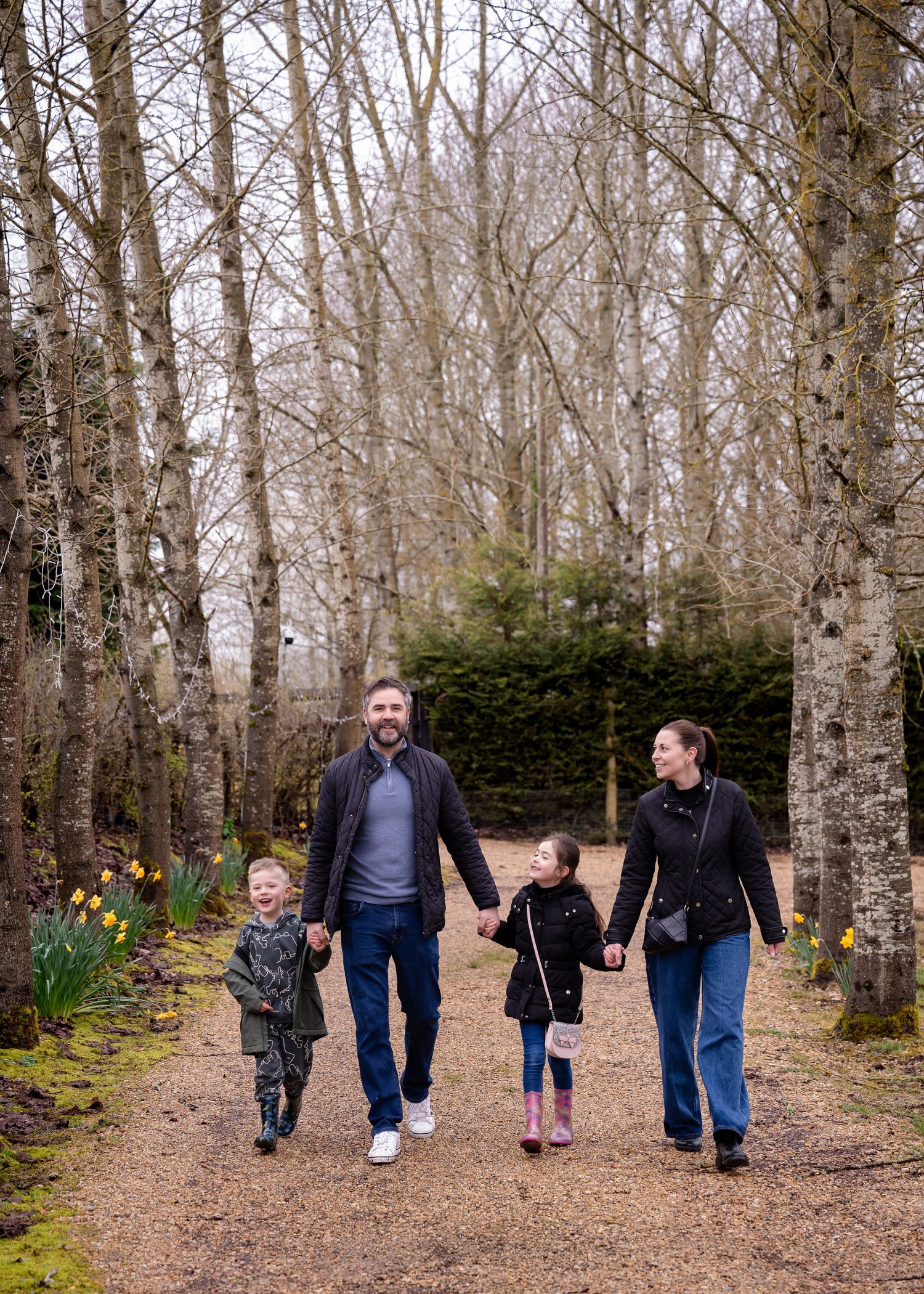 Family of four walking hand-in-hand on a gravel path lined with birch trees and daffodils in early spring.