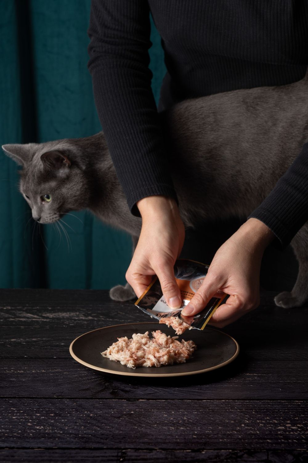 Shooting et tournage internationaux pour la marque Sheba. Photographe animalier: Mélanie Rousselle