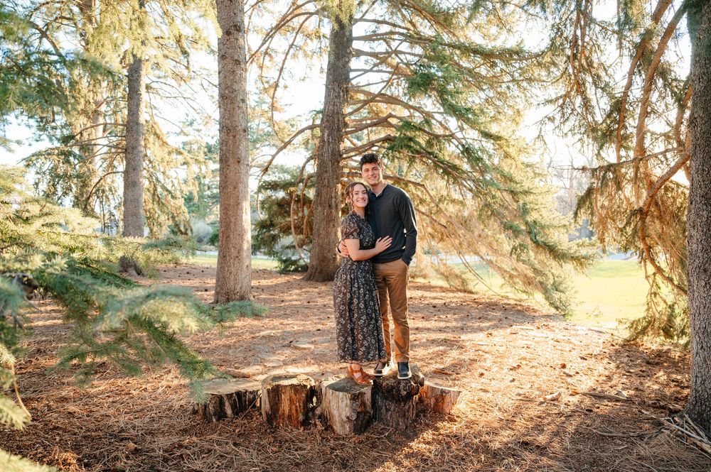 Couple embracing among tall pine trees on a sunny day in a serene forest setting.