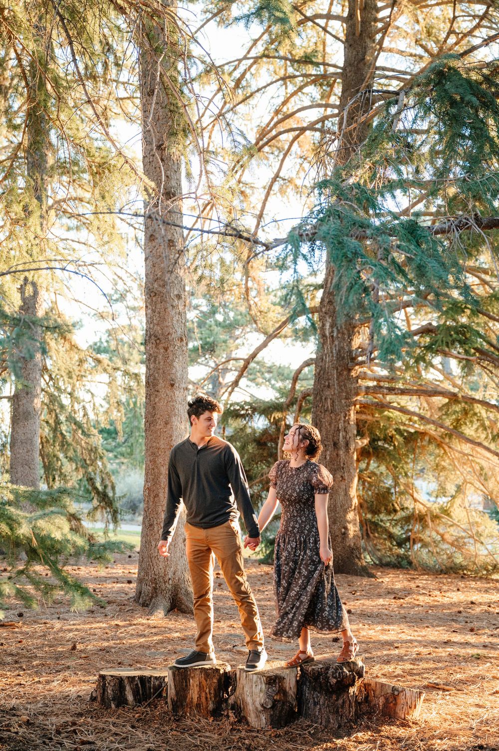 Couple holding hands standing on tree stumps in a sunlit forest with tall pine trees.