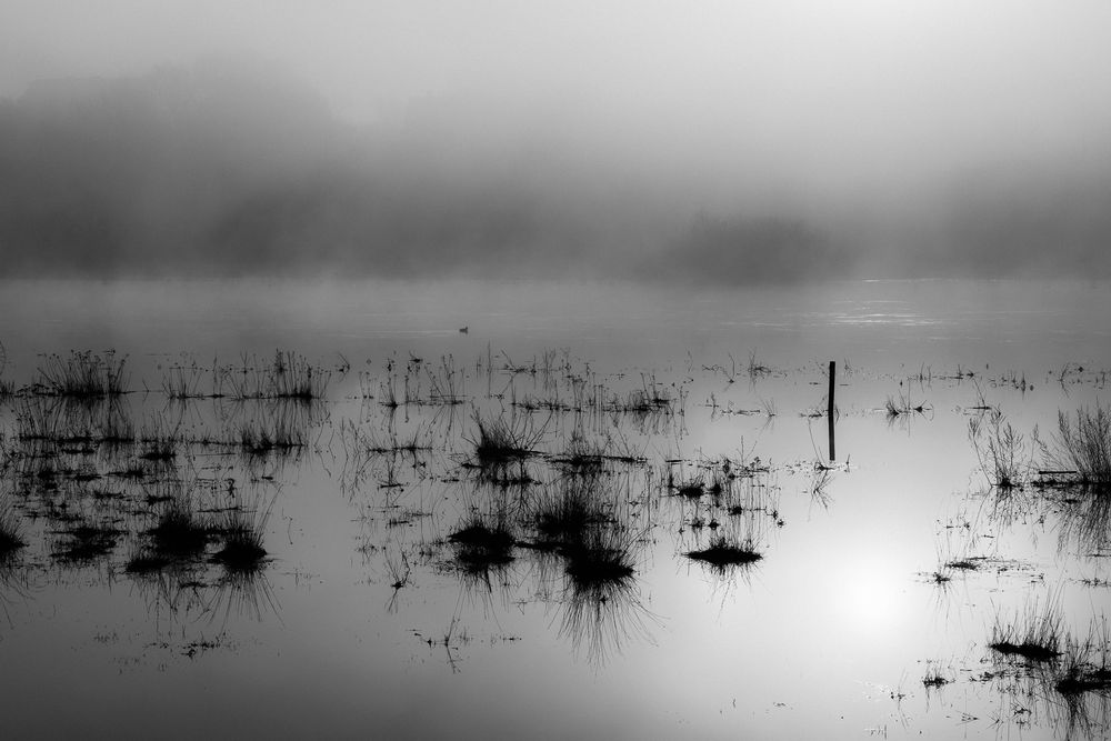 Warta, poznań, flood, morning light, fog, minimalism
