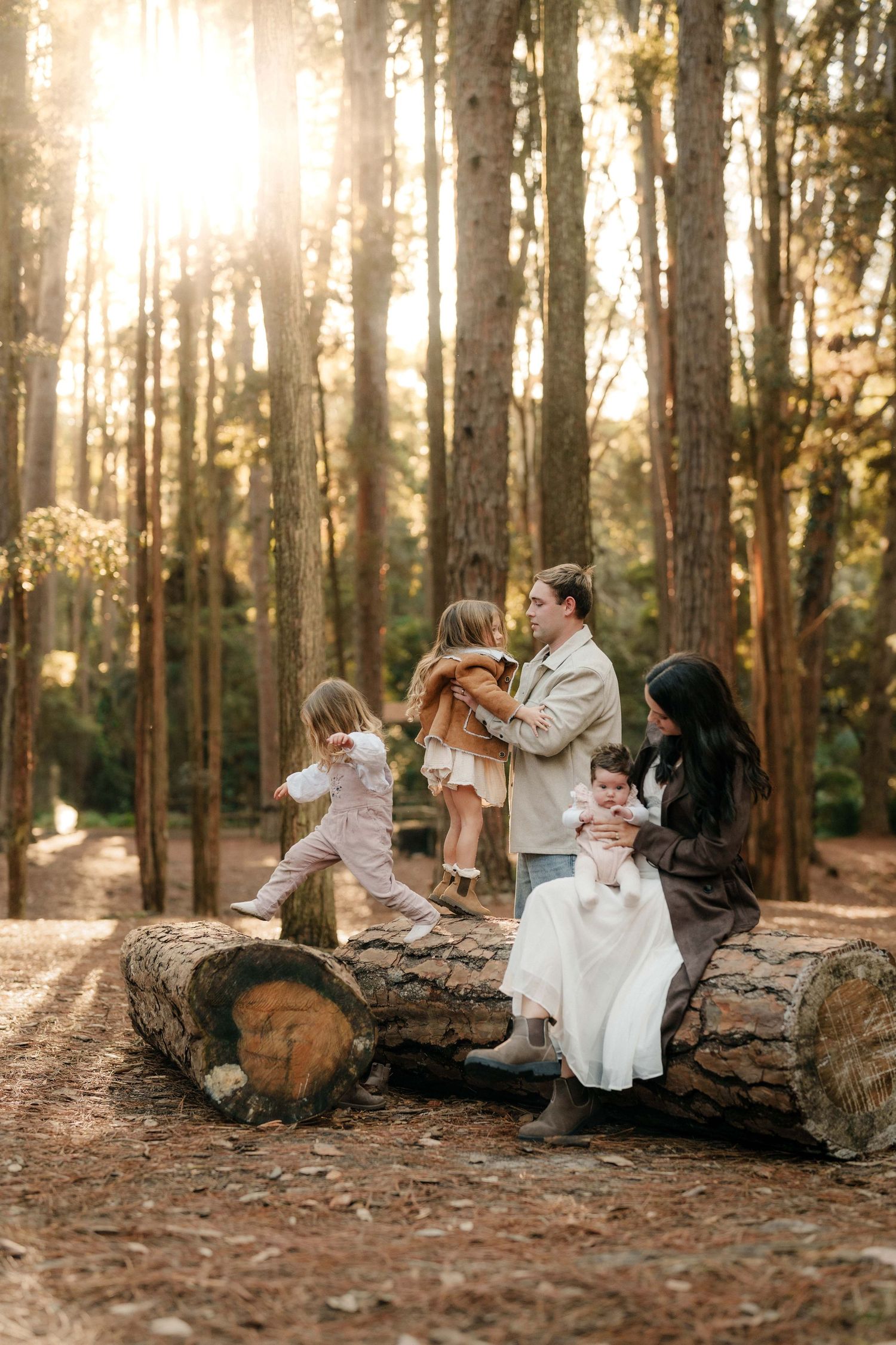 Family of five posing on a fallen log in a sunlit pine forest during a warm golden hour session.
