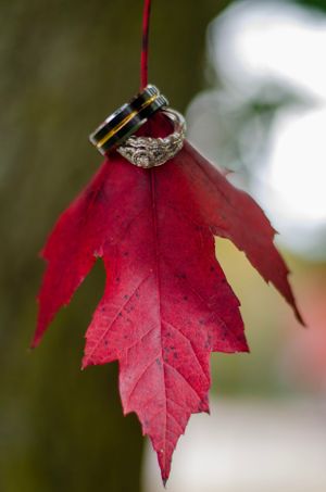 Wedding rings displayed on a vibrant red autumn maple leaf in a creative outdoor photography setup.