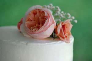Delicate pink garden roses and baby's breath decorate a white wedding cake against a green background.