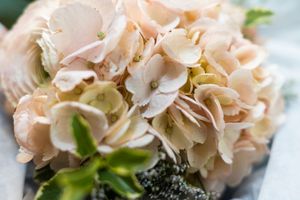 Close-up of a delicate blush pink hydrangea bouquet with soft petals and green foliage, perfect for weddings.