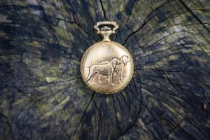 Antique gold pocket watch with engraved dog design resting on a dark wood stump surface.