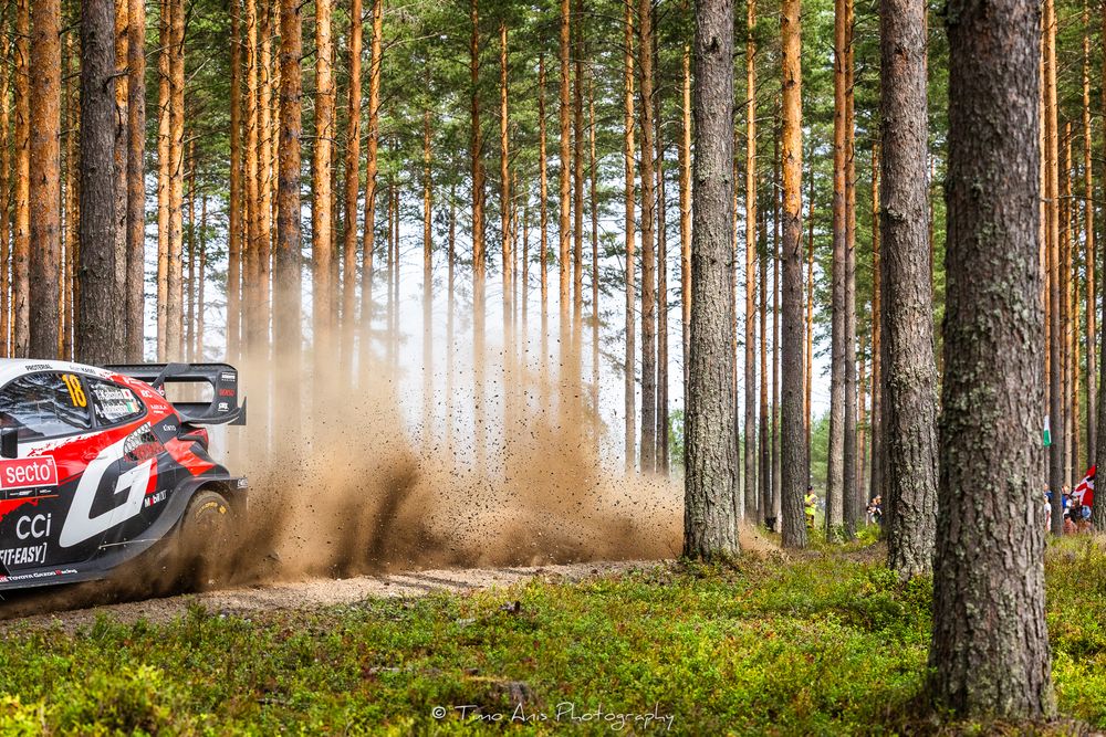 Rally car speeds through a forest stage, kicking up dirt and dust on a gravel track surrounded by tall pine trees.
